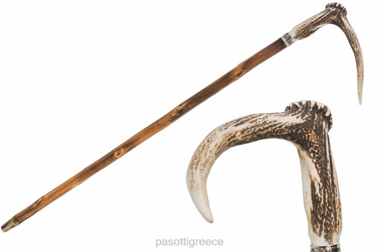 αξεσουάρ PASOTTI ba ccl - ελαφοκέρατο ζαχαροκάλαμο 2N6B8219 για άνδρες και γυναίκες