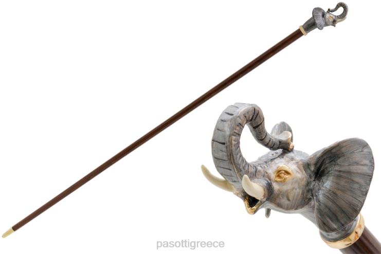 αξεσουάρ PASOTTI ba k32 - μπαστούνι ελέφαντα 2N6B8251 για άνδρες και γυναίκες