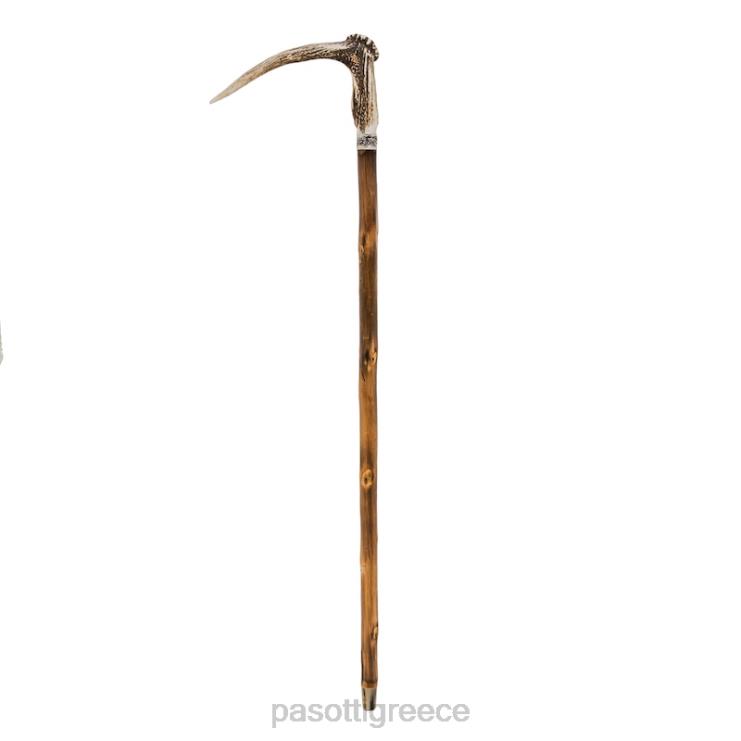 αξεσουάρ PASOTTI ba ccl - ελαφοκέρατο ζαχαροκάλαμο 2N6B8219 για άνδρες και γυναίκες