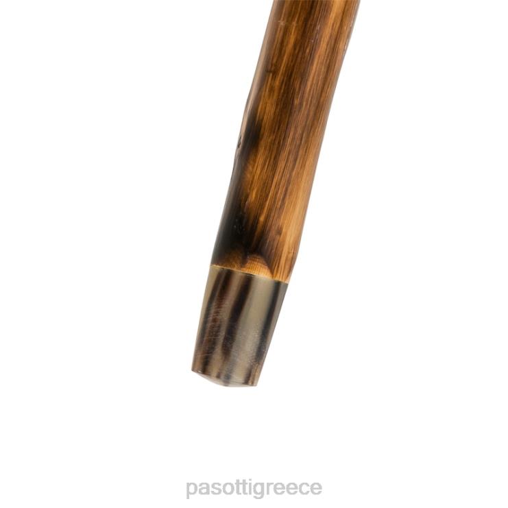 αξεσουάρ PASOTTI ba ccl - ελαφοκέρατο ζαχαροκάλαμο 2N6B8219 για άνδρες και γυναίκες