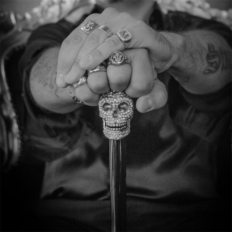 αξεσουάρ PASOTTI ba w333tr - καθαρό μπαστούνι κρανίου swarovski 2N6B8212 για άνδρες και γυναίκες