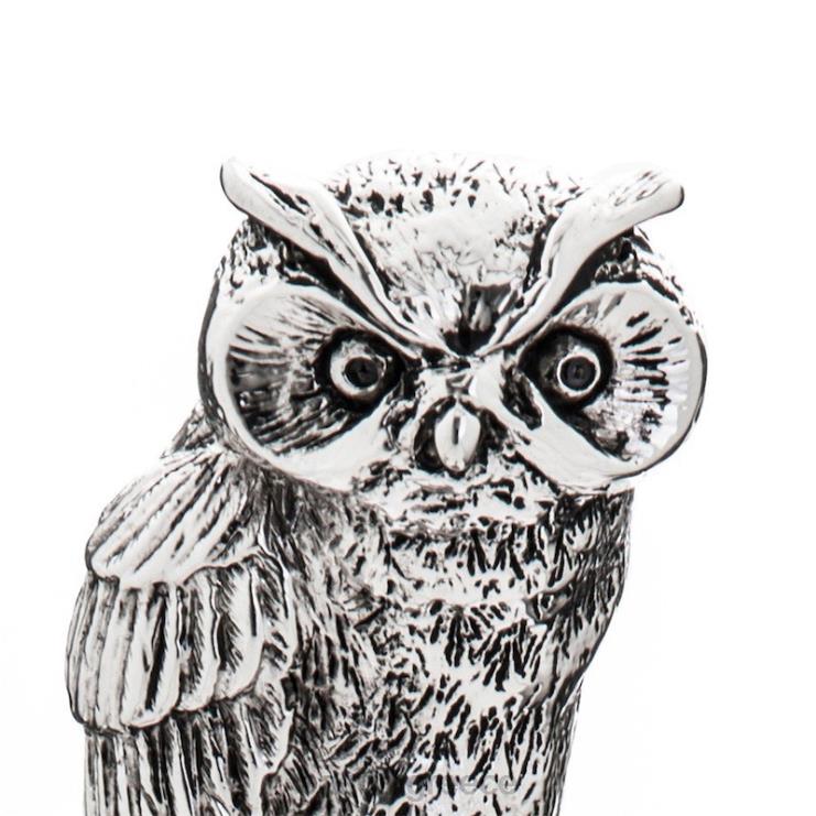 αξεσουάρ PASOTTI cs w44 - ασημένιο κέρατο παπουτσιών κουκουβάγιας 2N6B8301 για άνδρες και γυναίκες